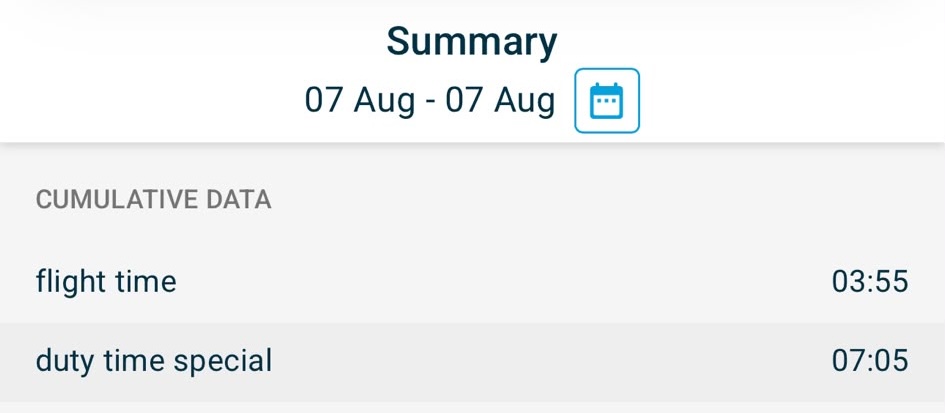 Voorbeeld rooster summary